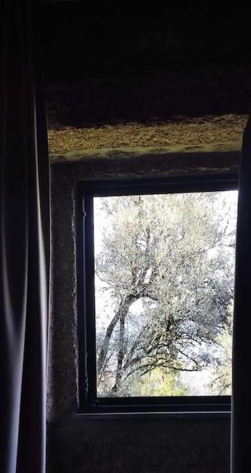 Casa Nova Das Oliveiras Брага Екстер'єр фото